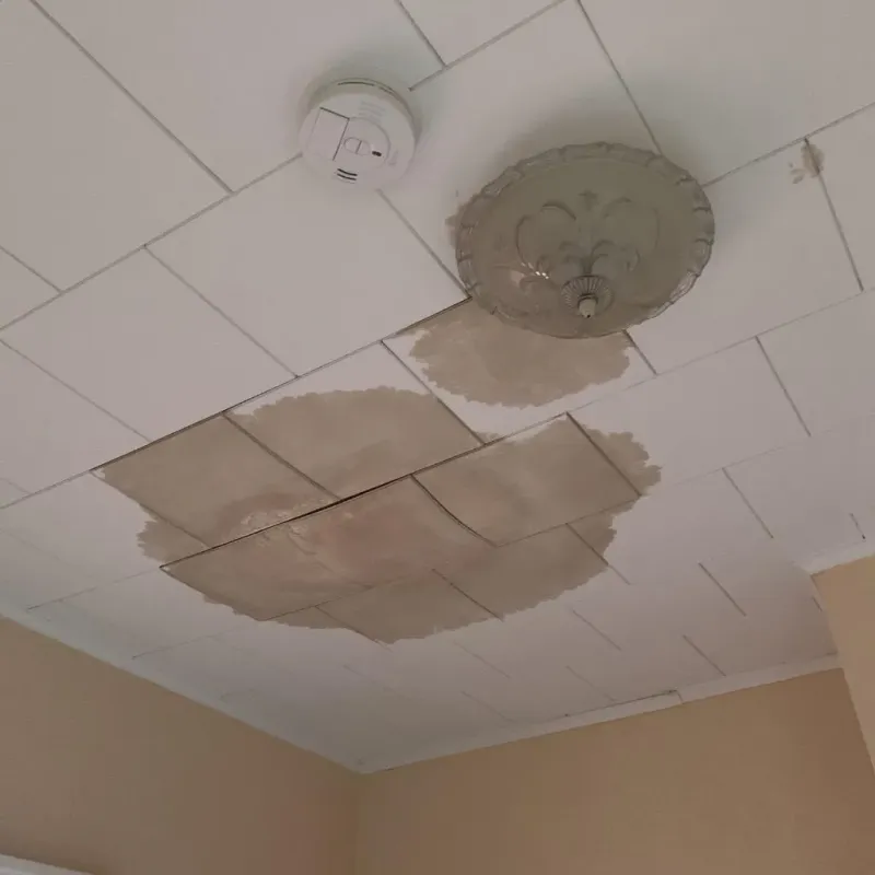 Ceiling Water Damage Repair in Stratham Station, NH