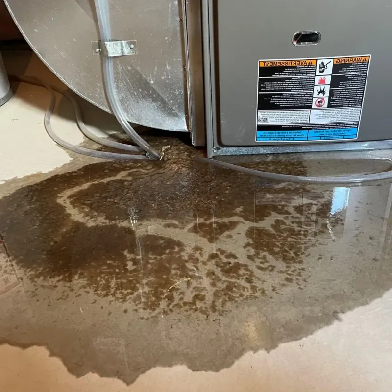 Pipe Burst and Leak Restoration in Stratham Station, NH